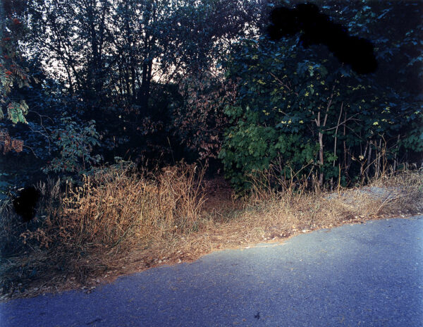 "2.7 1999 A path between Sivakkapolku and Hiiht'j'ntie, male, cause of death: Heroin overdose", 2002, 80 x 100cm, c-print, diasec, ed. 6 "2.7 1999 A path between Sivakkapolku and Hiiht'j'ntie, male, cause of death: Heroin overdose", 2002, 80 x 100cm, c-print, diasec, ed. 6